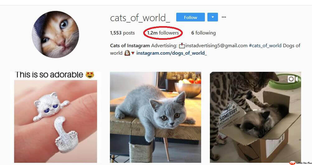 instagram influencers Hashtags & Keywords