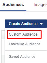 audience-custom-audience