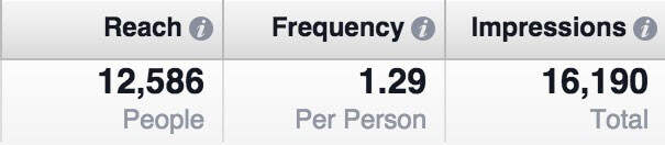 Facebook Metrics Ad Frequency