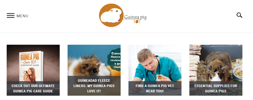 guinea pig 101